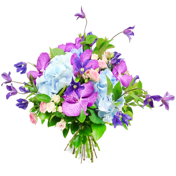Photographed in front of a bright white backdrop, this lavish mixed bouquet appears fresh from the florist's bench, every bloom crisp and vibrant. At the centre, large clusters of pale sky-blue hydrangea form generous mounds, their myriad tiny petals layering together like soft fabric, giving the whole piece a calm, cloud-like foundation. Piercing this gentle blue base, vivid fuchsia and rich purple orchids-likely Vanda or Phalaenopsis-command attention, their broad, glossy petals adorned with intricate veining and speckled patterns that bring an exotic touch to the composition, echoing the sophisticated, artistic atmosphere of Fitzrovia's galleries and design studios. Gracefully threading upward and outward, slender stems of deep purple clematis present delicate star or bell-shaped blossoms, adding a sense of height, spontaneity, and garden-inspired freedom, as if they had climbed from a courtyard near Fitzroy Square. Nestled thoughtfully among these statement flowers, miniature roses open in shades of blush and creamy white, offering a soft romantic counterpoint, their compact rosettes and gently curling petals suggesting a subtle, comforting fragrance. Surrounding all of this, a wealth of lush greenery-broad, shiny leaves mixed with lighter, more textured foliage-cradles the flowers and enhances the depth of colour, allowing the blues, purples, and pinks to glow. The stems are neatly tied at the base, reflecting expert hand-tying for easy carrying or vase placement in a Fitzrovia flat or office. Soft, even lighting smooths the shadows and highlights each petal's natural sheen, giving the bouquet an air of refined celebration and quiet thoughtfulness, ideal for birthdays, anniversaries, or as an elegant thank-you delivered across the W1 neighbourhood.