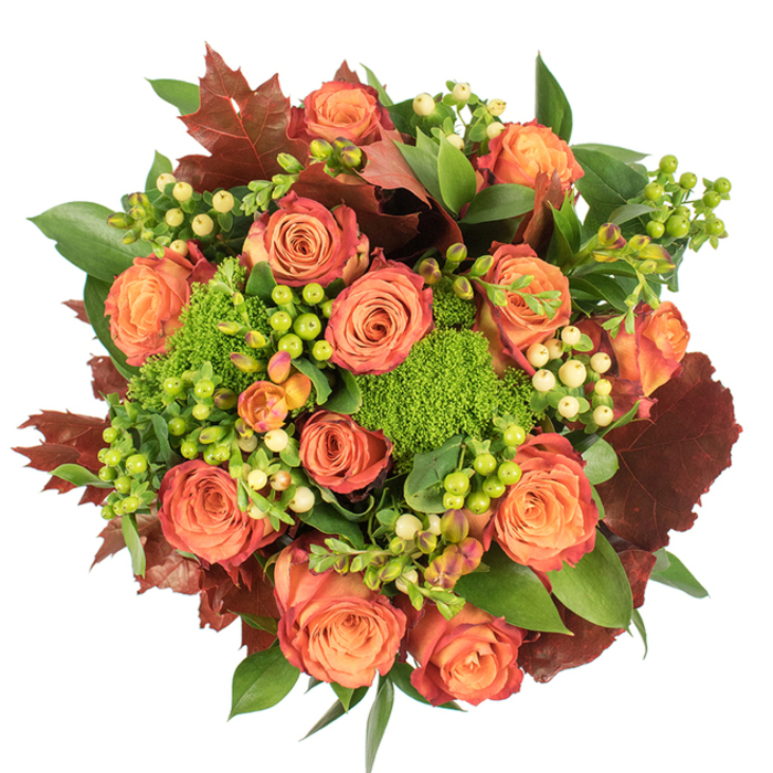 Aerially composed on a crisp white canvas, this autumn bouquet reads as a study in colour, texture and seasonality. Dozens of fully opened roses form the dominant chorus-each bloom transitioning from a soft peach core to coral and then to a richer orange with outer petals brushed in a reddish-rust tone-so the collection hums with depth and movement. Scattered among the roses are handsome clusters of Hypericum berries: some a lively lime-green that feels almost luminescent, others a pale creamy-yellow that offers a delicate punctuation to the palette. The arrangement's verdant punctuation comes from Green Trick dianthus, whose dense, velvety, brain-like heads sit like tiny, living moss pockets, lending a fresh, tactile counterbalance to the smooth rose petals. Foliage plays a sculptural role-broad glossy greens create a lavish backdrop while prominent, lobed leaves in deep burgundy and burnt orange are positioned to emphasise the fall motif and provide a grounding contrast. The bouquet's circular, densely packed form and the soft, diffuse light used in the image give it a warm presence; highlights on the petals and berries set off subtle shadows that deepen perceived texture. The scent is imagined as a gentle fusion of rose sweetness with an earthy, mossy undertone-reminiscent of an afternoon stroll from Oxford Street into the quieter lanes around Goodge Street. This composition makes a thoughtful Thanksgiving centrepiece, a comforting seasonal gift, or an elegant accent for autumnal interiors where warmth and abundance are desired.