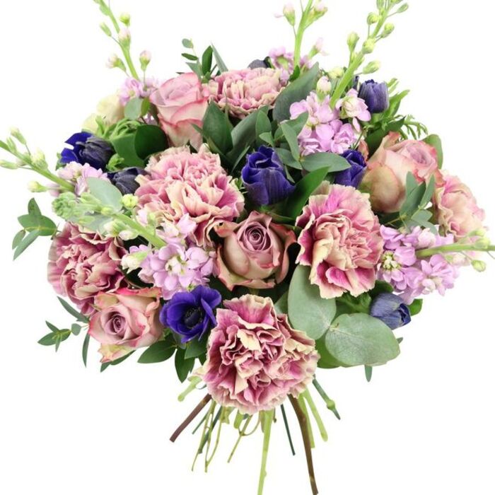 A richly textured, hand-tied bouquet is shown against a clean, white backdrop, where each colour and curve of petal is allowed to stand out with quiet drama, echoing the understated elegance of Fitzrovia's townhouse streets. In the centre, large garden roses in shades of blush, dusty pink, and antique mauve open in layered spirals, their velvety petals capturing a soft, romantic light. Surrounding them are plentiful ruffled carnations whose petals graduate from creamy pale tones at the heart to more pronounced rose, fuchsia, and plum along the fringed edges, creating generous volume and a sense of movement. Punctuating this gentle palette are intense, deep indigo-blue blooms, tight and bud-like, reminiscent of tulips or closed anemones, adding sleek, sculptural points of contrast. Near the lower front of the bouquet sits a striking royal blue anemone, fully open, its dark, almost black centre giving the eye a strong focal anchor. Rising lightly through the arrangement are delicate stems of lilac and pale lavender stock flowers, each stem clustered with many small blossoms, adding vertical interest and the suggestion of a faint, powdery fragrance. The bouquet is cradled in lush greenery: glossy dark green leaves and rounded, silvery eucalyptus that fan gently outward, softening the edges and hinting at a cool, aromatic freshness. At the base, the stems are gathered neatly and visibly hand-tied, suggesting a bouquet freshly prepared and ready for same-day flower delivery across Fitzrovia and neighbouring areas like Goodge Street and Oxford Street. Its harmonious mix of romantic pinks, gentle purples, vivid blues, and fresh greens makes it a versatile choice for weddings, anniversaries, thoughtful birthday gifts, or offering comfort in more reflective moments.